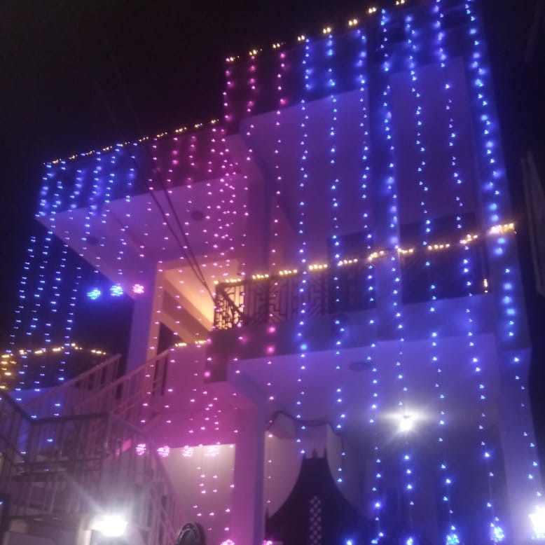 Rice Lights